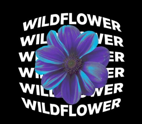 WILDFLOWER
