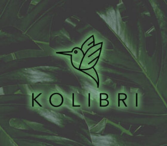 Kolibri