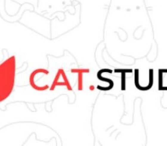 CAT.STUDIO