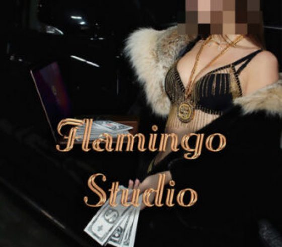 Flamingo