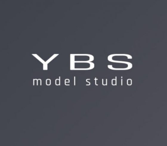 YBS (Your Best Solution)