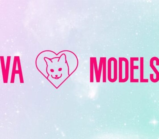 VA Models